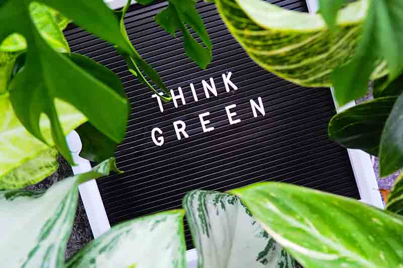 eco-friendly-way-of-thinking-sustainability
